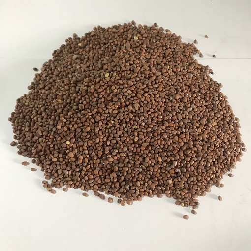 Ảnh của Hạt giống rau mầm Củ Cải Trắng (kg), Hạt giống New Zealand, Đà Lạt