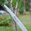 Picture of Cưa gấp cắt cành TKG-56 cm, Cưa cắt tỉa bon sai, Cưa mini cắt cây cảnh, Cưa tay gấp gọn