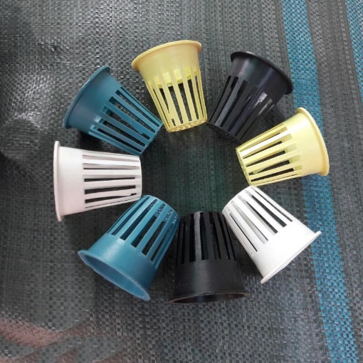 Ảnh của Rọ trồng thủy canh D57. Rọ nhựa thủy canh, Cốc trồng rau thủy canh, Rọ đựng giá thể thủy canh