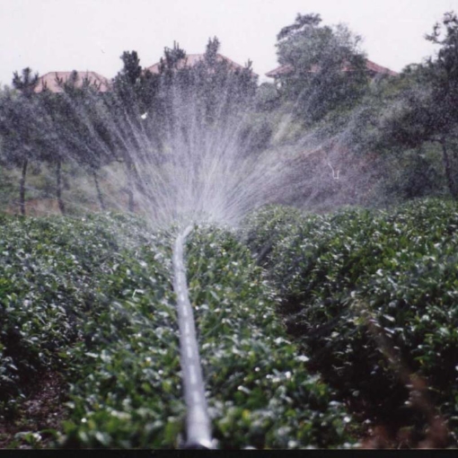 Ảnh của Dây tưới phun mưa Micro spray tube N65.40 mm, Dây tưới phun mưa PE mềm dày 0.3 mm 5 mắt