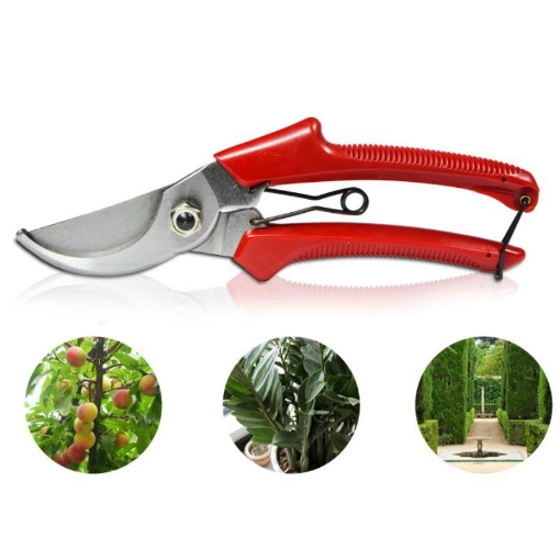 Ảnh của Kéo tỉa cây SK-1, Kéo cộng lực cắt cành, Kìm bấm tỉa cây bon sai mỏ cong thép SK5