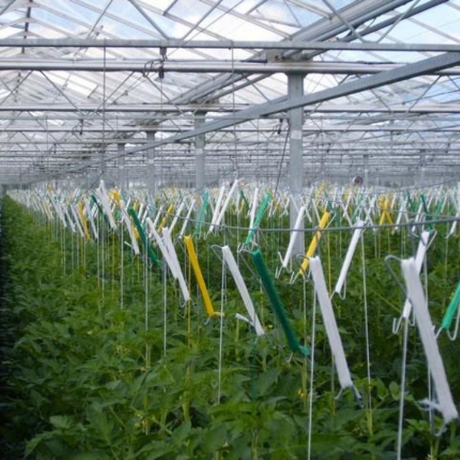 Ảnh của Móc treo thép kèm 6m dây treo MDT-6, Móc treo dưa lưới, dưa leo, Dây treo cà chua