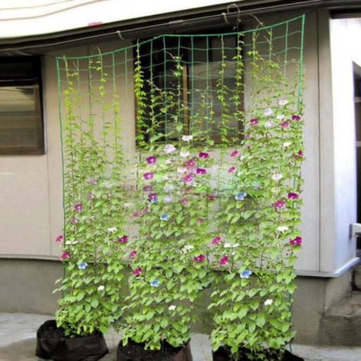 Gambar Lưới làm giàn dây leo 0.9m x 1.8m OLN-09, lưới làm giàn cây Ollie net, Lưới làm vườn đa năng