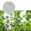 Gambar Lưới làm giàn dây leo 0.9m x 1.8m OLN-09, lưới làm giàn cây Ollie net, Lưới làm vườn đa năng