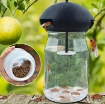 Ảnh của Thuốc bẫy Ruồi vàng BR-TH, Thuốc dẫn dụ Ruồi Muỗi Ong, Thuốc hấp dẫn côn trùng