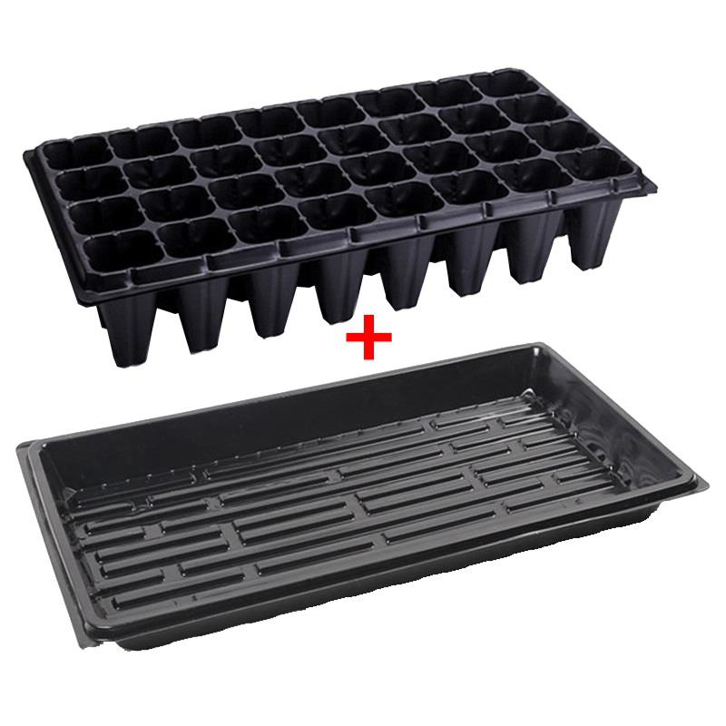 Khay 32 lỗ + Đáy chứa