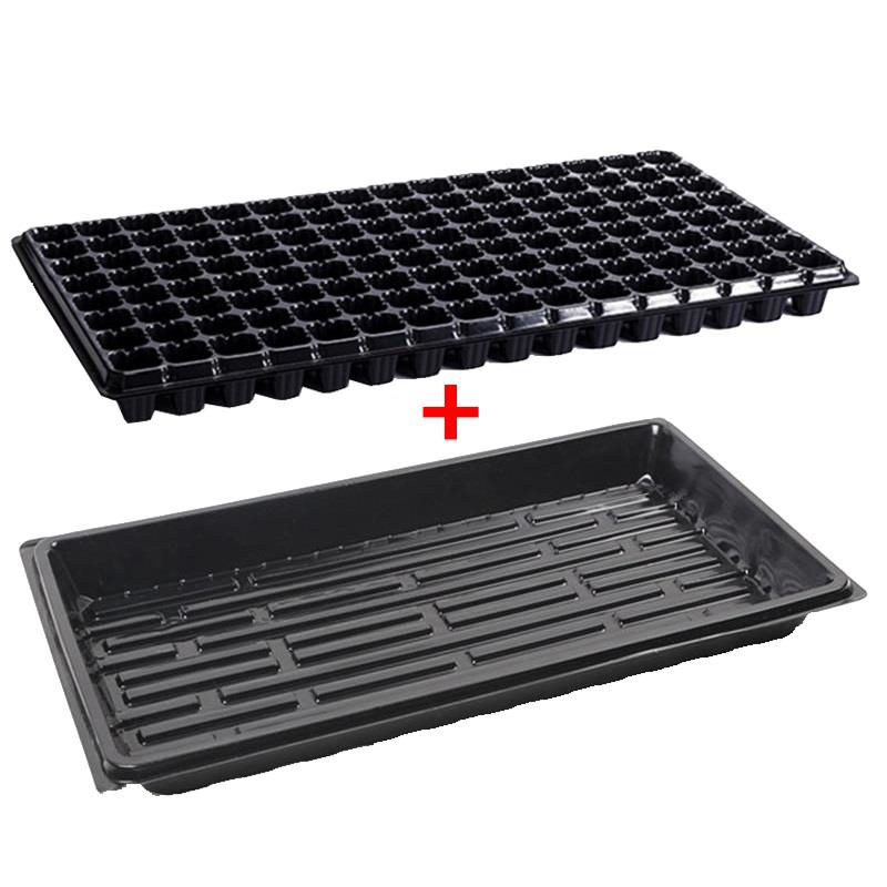 Khay 128 lỗ + Đáy chứa