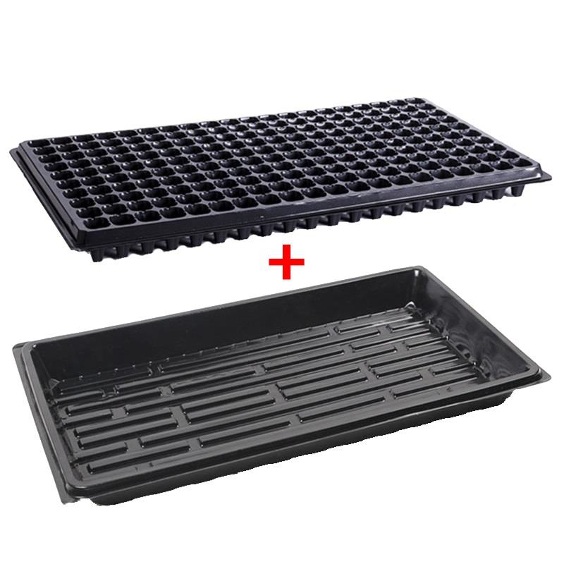 Khay 200 lỗ + Đáy chứa [+1.000đ]