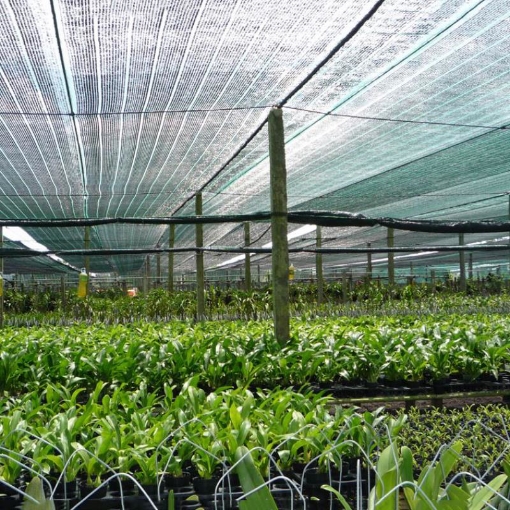 Ảnh của Lưới cắt che nắng nông nghiệp, Màng che nắng cho cây trông, Lưới chắn nắng xây dựng