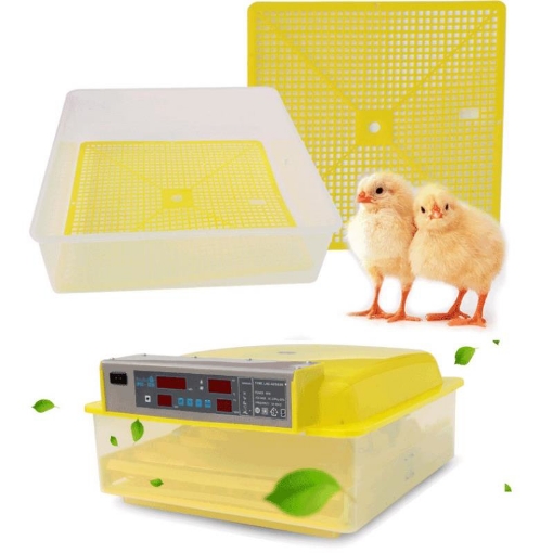 图片 Máy ấp trứng tự động, Máy ấp trứng hẹn giờ, Ấp trứng Gà, Vịt, Bồ câu, Chim cút