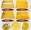 图片 Máy ấp trứng tự động, Máy ấp trứng hẹn giờ, Ấp trứng Gà, Vịt, Bồ câu, Chim cút