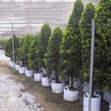 Ảnh của Túi trồng cây 2 quai Φ30*H25, Túi trồng cây công trình bằng Vải địa kỹ thuật không dệt