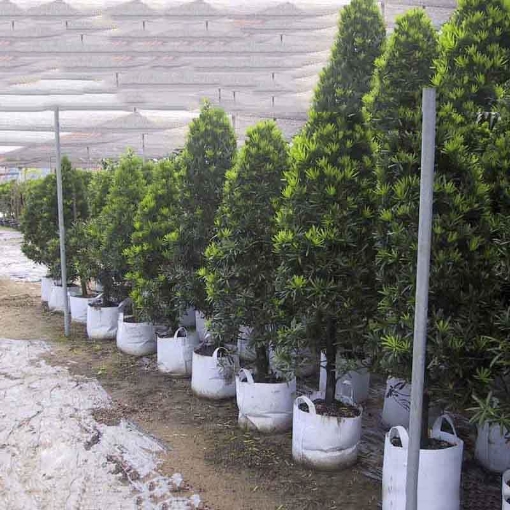 รูปภาพของ Túi trồng cây 2 quai Φ30*H25, Túi trồng cây công trình bằng Vải địa kỹ thuật không dệt