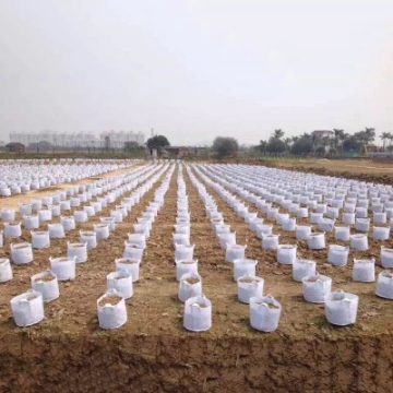 Ảnh của Túi trồng cây 2 quai Φ40*H35, Túi trồng cây công trình bằng Vải địa kỹ thuật không dệt