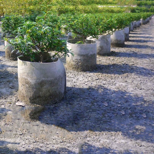 Ảnh của Túi trồng cây 0 quai Φ25*25, Túi trồng cây công trình bằng Vải địa kỹ thuật không dệt