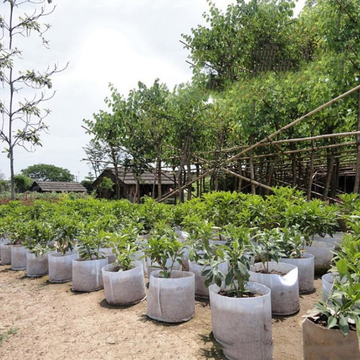 图片 Túi trồng cây 2 quai Φ25*25, Túi trồng cây công trình bằng Vải địa kỹ thuật không dệt