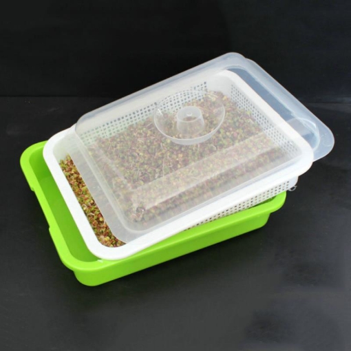 Ảnh của Khay trồng Rau mầm Thủy canh MAM-103, Chậu trồng Rau mầm 3 lớp có nắp đậy