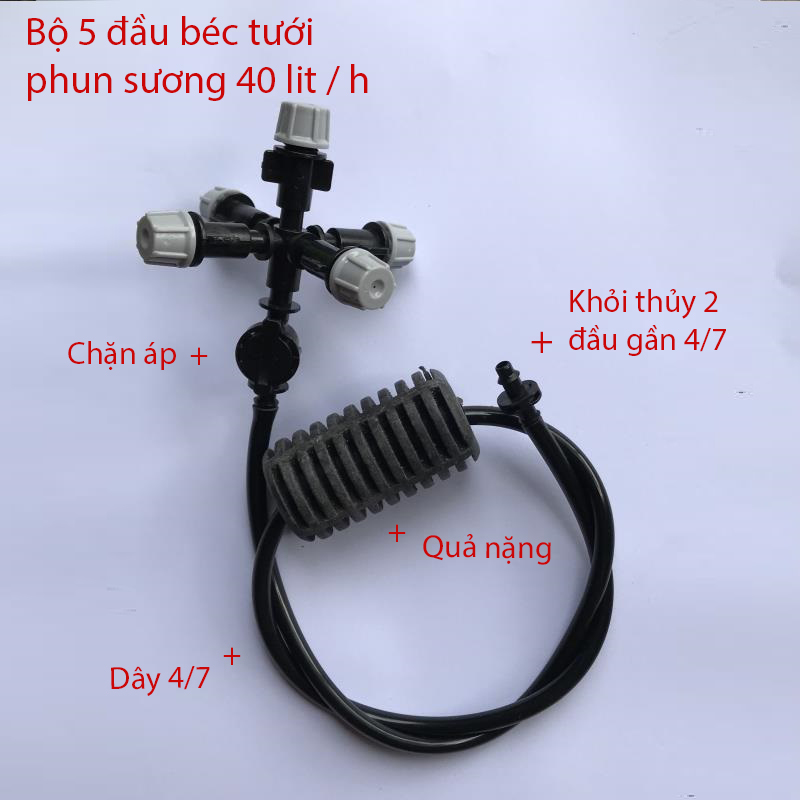 Tưới treo 5 Đầu tưới phun sương 40L/h, gân 4/7 [+14.000đ]