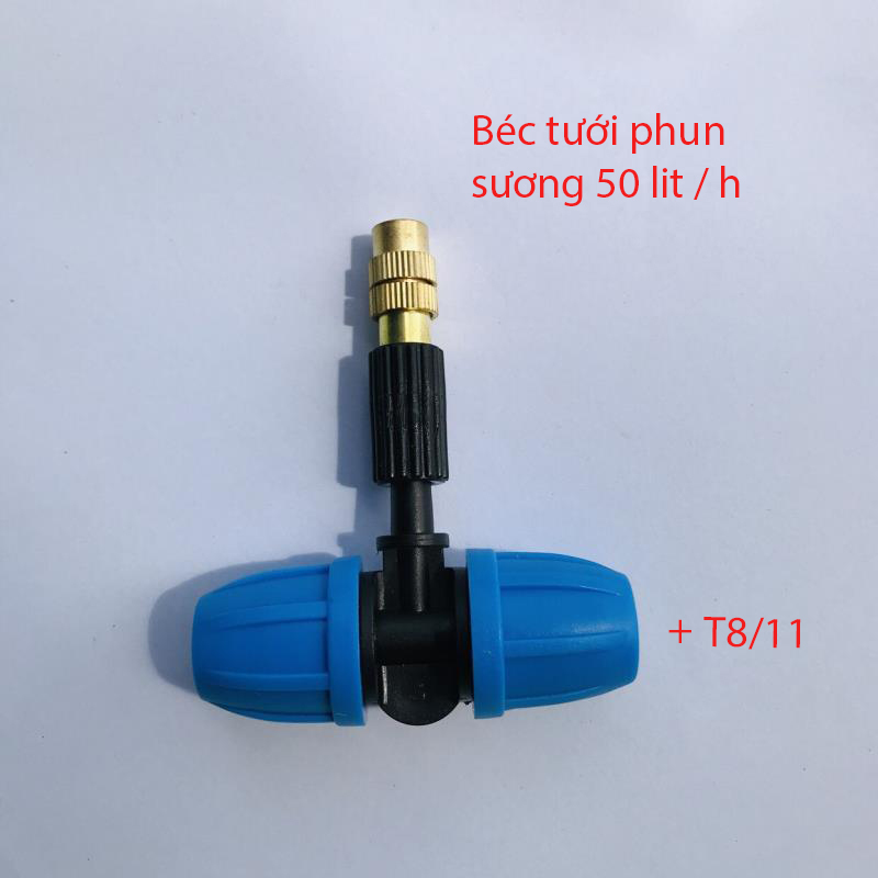 Kèm T8/11 [+2.900đ]