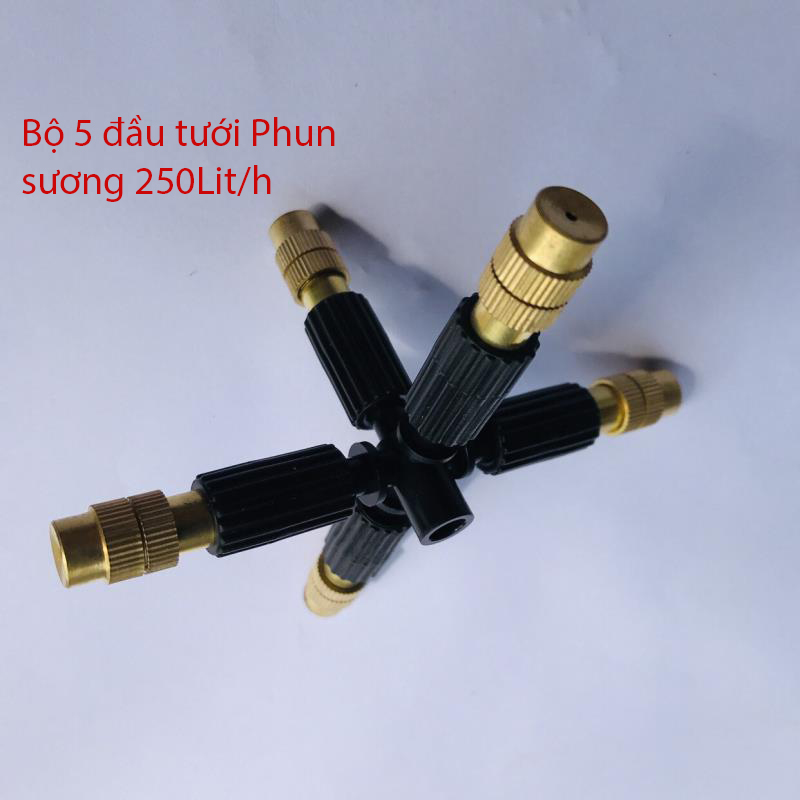 Bộ 5 đầu phun sương trơn 6mm [+21.300đ]