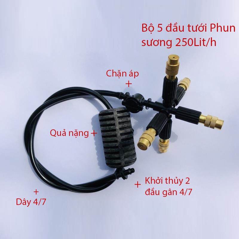 Tưới treo 5 Đầu tưới phun sương 250L/h, gân 4/7 [+28.000đ]