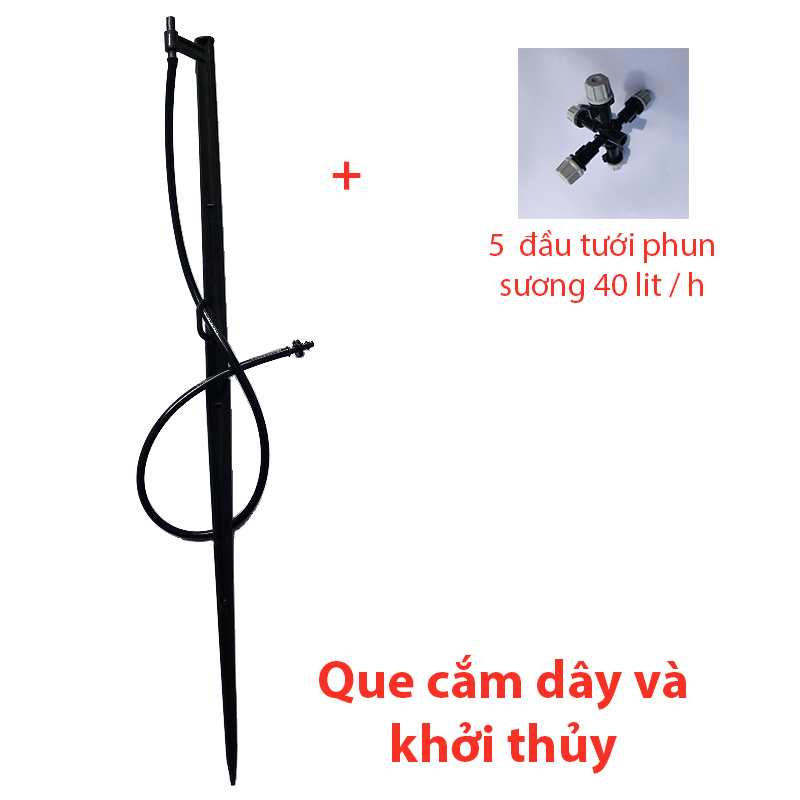 Que cắm 5 đầu, dây + khởi thủy  4/7 [+13.100đ]