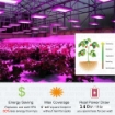 Picture of Đèn Led trồng cây GL-600W, Đèn led hỗ trợ trồng cây trong nhà, Led grow light full spectrum