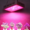 Picture of Đèn Led trồng cây GL-600W, Đèn led hỗ trợ trồng cây trong nhà, Led grow light full spectrum