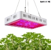 图片 Đèn Led trồng cây đủ phổ GL-1000W, Đèn led hỗ trợ trồng cây trong nhà, Led grow light