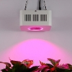 Ảnh của Đèn Led trồng cây đủ phổ COB-1, Đèn led hỗ trợ trồng cây trong nhà, Led grow light