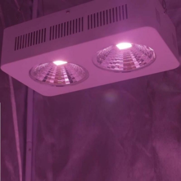 Ảnh của Đèn Led trồng cây đủ phổ COB-2, Đèn led hỗ trợ trồng cây trong nhà, Led grow light