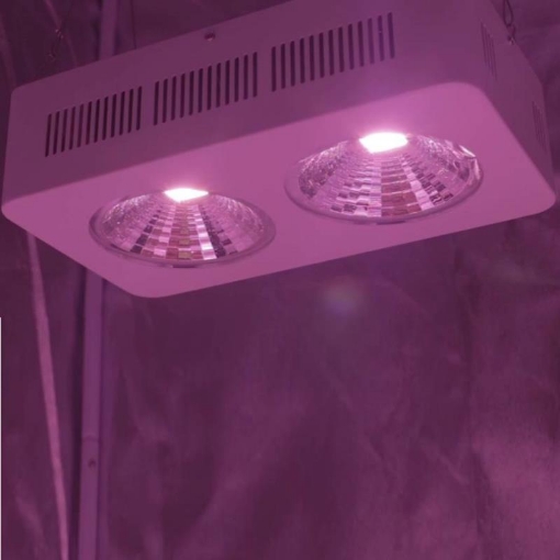 图片 Đèn Led trồng cây đủ phổ COB-2, Đèn led hỗ trợ trồng cây trong nhà, Led grow light