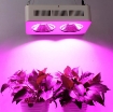 图片 Đèn Led trồng cây đủ phổ COB-2, Đèn led hỗ trợ trồng cây trong nhà, Led grow light