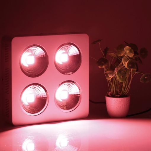 รูปภาพของ Đèn Led trồng cây đủ phổ COB-4, Đèn led hỗ trợ trồng cây trong nhà, Led grow light