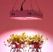 รูปภาพของ Đèn Led trồng cây đủ phổ COB-4, Đèn led hỗ trợ trồng cây trong nhà, Led grow light