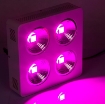 รูปภาพของ Đèn Led trồng cây đủ phổ COB-4, Đèn led hỗ trợ trồng cây trong nhà, Led grow light