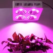 รูปภาพของ Đèn Led trồng cây đủ phổ COB-4, Đèn led hỗ trợ trồng cây trong nhà, Led grow light