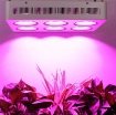 รูปภาพของ Đèn Led trồng cây đủ phổ COB-6, Đèn led hỗ trợ trồng cây trong nhà, Led grow light