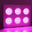 รูปภาพของ Đèn Led trồng cây đủ phổ COB-6, Đèn led hỗ trợ trồng cây trong nhà, Led grow light
