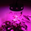 Gambar Led trồng cây đủ phổ UFO-150W, Đèn hỗ trợ tăng trường thực vật trong nhà, Led grow light