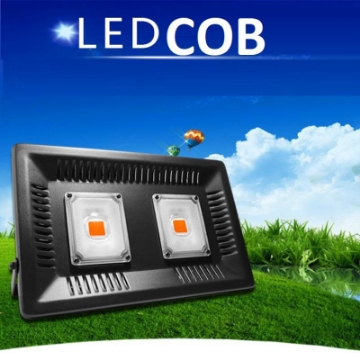 Ảnh của Đèn Led trồng cây trong nhà COB-100W Epistar Slim