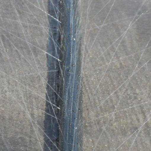 รูปภาพของ Dây tưới phun mưa Micro spray tube N50.32, Dây tưới phun mưa PE mềm dày 0.2 mm 5 mắt