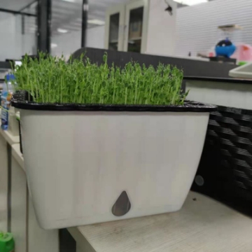 Ảnh của Khay trồng rau 2 lớp tự tưới KR-32, Chậu trồng rau thông minh có đáy chứa nước