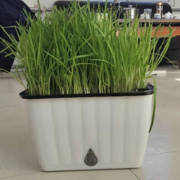 Ảnh của Khay trồng rau 2 lớp tự tưới KR-45, Chậu trồng rau thông minh có đáy chứa nước