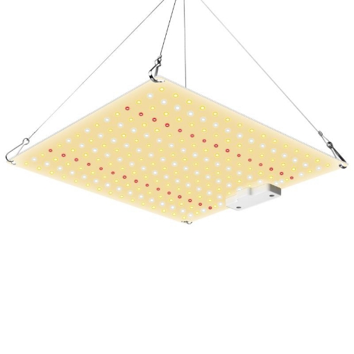 Gambar Đèn trồng cây Lượng tử QBC600, Led grow lights chip Samsung 600W, Đèn trồng rau trong nhà
