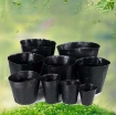 Ảnh của Bầu nhựa ươm cây BHS, Chậu nhựa trồng và ươm cây giống Bầu Hoa Sen nhiều cỡ