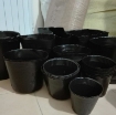 Ảnh của Bầu nhựa ươm cây BHS, Chậu nhựa trồng và ươm cây giống Bầu Hoa Sen nhiều cỡ