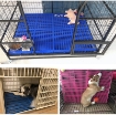 Ảnh của Tấm lót chuồng Pet size L 56*43*1cm, Sàn nhựa lót cho vật nuôi, thú cưng