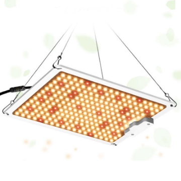 Ảnh của Đèn trồng cây Lượng tử QBC1000, Led grow lights chip Samsung 1000W, Đèn trồng rau trong nhà