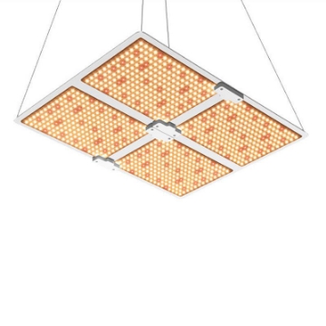 Ảnh của Đèn trồng cây Lượng tử QBC4000, Led grow lights chip Samsung 4000W, Đèn trồng rau trong nhà